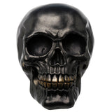 Front view of a metallic black skull decoration with golden teeth.