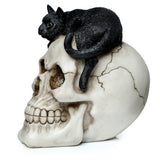 Angled view of an aged off-white skull ornament, with a black cat figurine draped over the top, showing its textured fur and green eyes.
