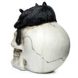 Angled view of a cream-coloured skull ornament with an aged, cracked finish, featuring a sleeping black cat figurine draped across its top, with one paw dangling over the side.