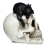 Three-quarter right view of a cream-coloured skull ornament with a textured black cat resting on its head. The cat has bright green eyes.