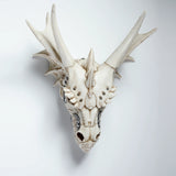 Front view of a white dragon skull decoration, featuring large horns, forehead spikes, and metallic silver details.