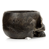 Side profile of a distressed grey skull indoor planter, with an open top, prominent eye socket, nose cavity, and teeth visible on the right.