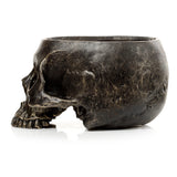 Side profile of a dark, textured skull indoor planter with an open top, featuring a distressed, weathered finish.