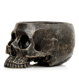 Left side profile of a dark, distressed Skull Garden Planter.