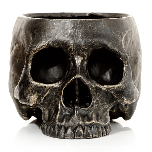Front view of a weathered charcoal skull garden planter, hollowed for plants, featuring prominent eye sockets and detailed teeth.